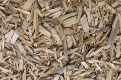 biomass boilers Deneside